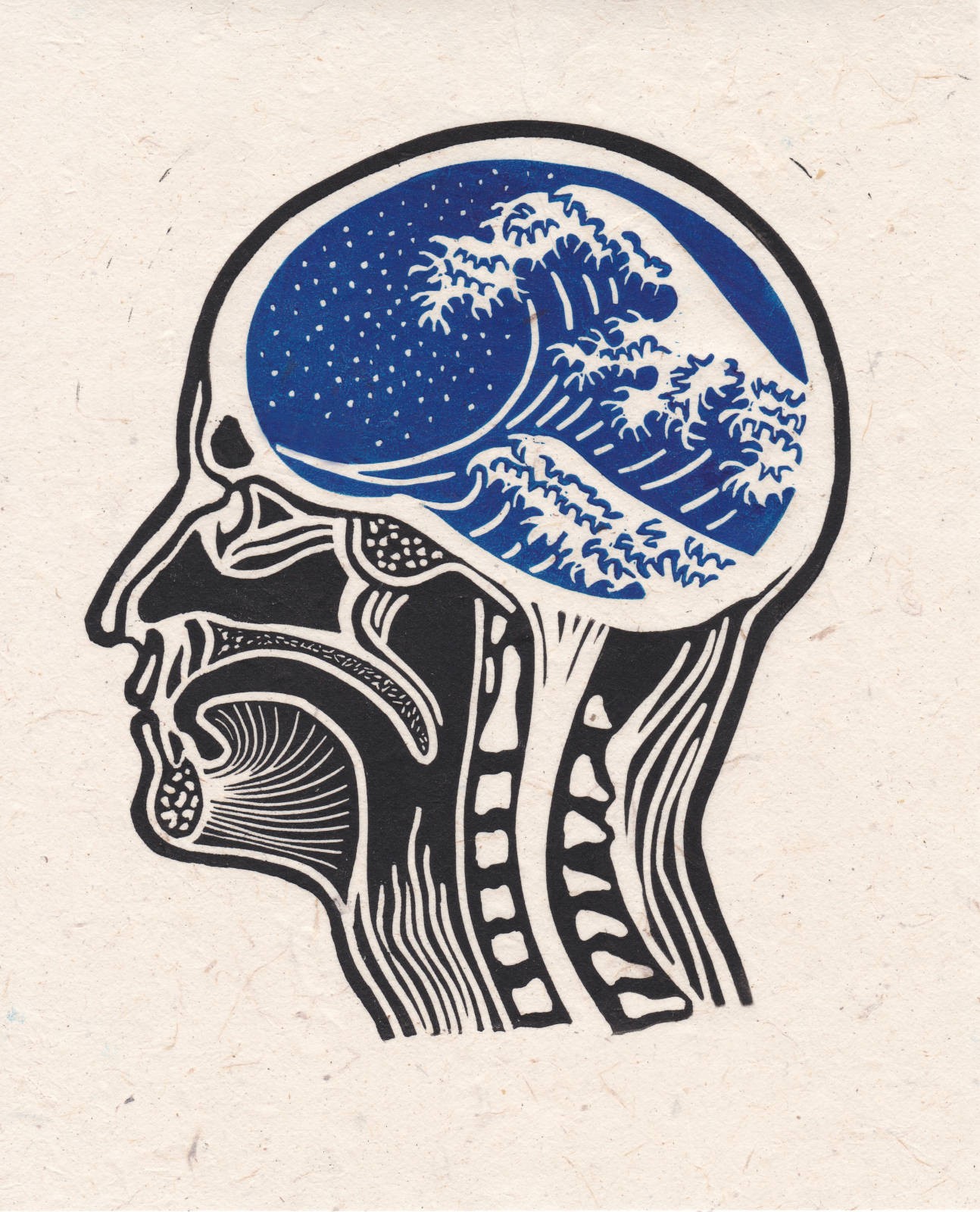 Visuel de Mind Storm