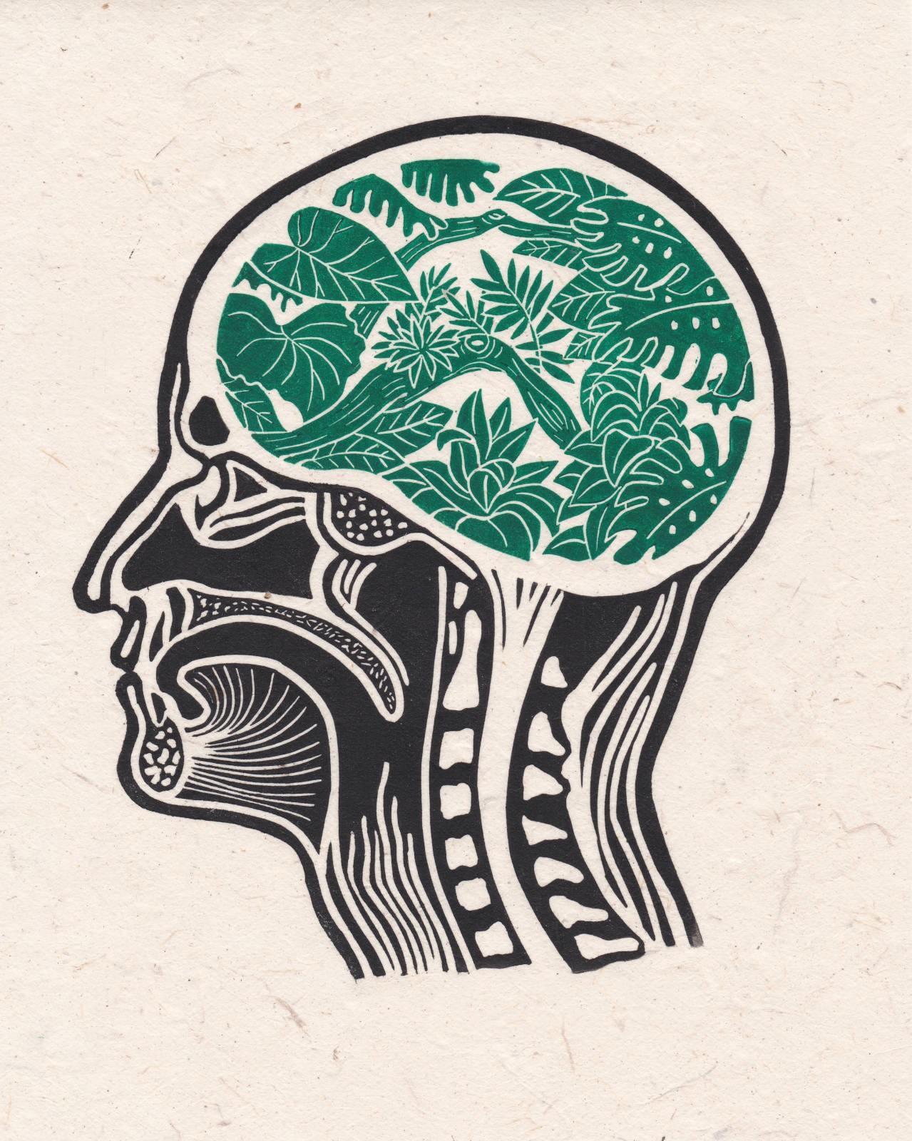Visuel de Mind Wild