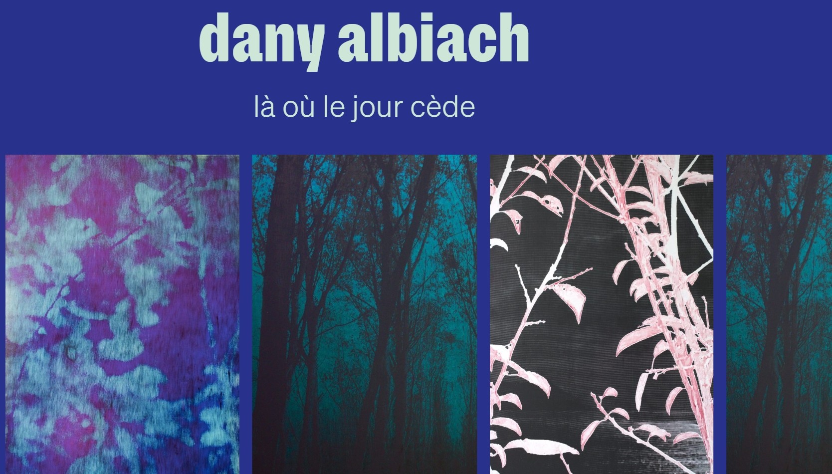 Visuel de Dany Albiach - Là où le jour cède